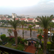 фото из отзыва ID 1981535