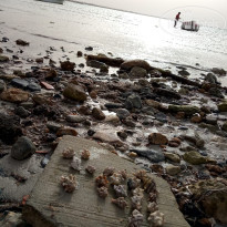 фото из отзыва ID 1981602