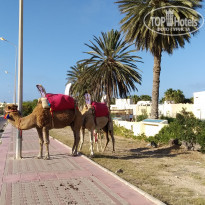 фото из отзыва ID 1981676