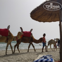 фото из отзыва ID 1981676