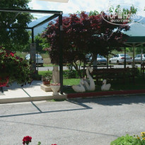 фото из отзыва ID 1981679