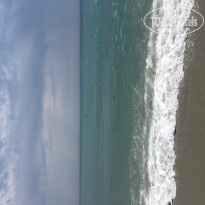 фото из отзыва ID 1981679