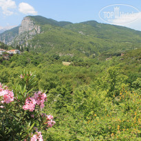 фото из отзыва ID 1981679