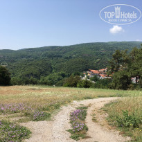 фото из отзыва ID 1981679