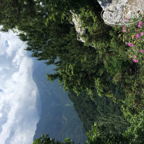 фото из отзыва ID 1981679