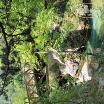 фото из отзыва ID 1981679