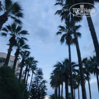 фото из отзыва ID 1981807