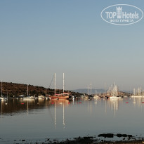 фото из отзыва ID 1981743