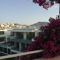 фото из отзыва ID 1981743