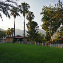 фото из отзыва ID 1981829