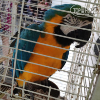 фото из отзыва ID 1981988