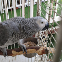 фото из отзыва ID 1981988