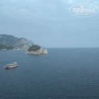 фото из отзыва ID 1982094