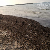 фото из отзыва ID 1982111