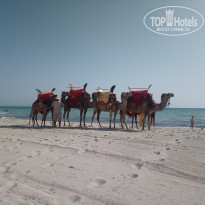 фото из отзыва ID 1982177