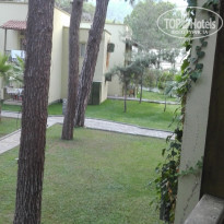 фото из отзыва ID 1982288