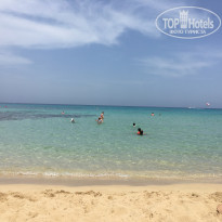 фото из отзыва ID 1982300