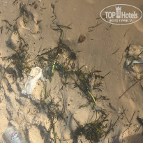 фото из отзыва ID 1982408