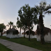 фото из отзыва ID 1982299