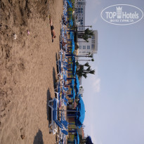 фото из отзыва ID 1982489