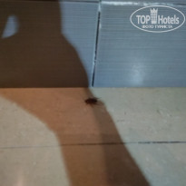 фото из отзыва ID 1982503