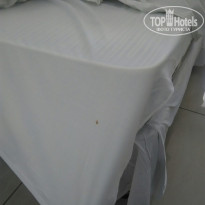 фото из отзыва ID 1982682