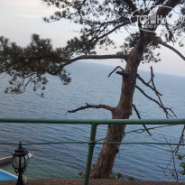 фото из отзыва ID 1982732