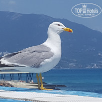 фото из отзыва ID 1982732