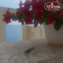 фото из отзыва ID 1982732