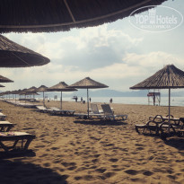 фото из отзыва ID 1982719