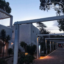 фото из отзыва ID 1982778