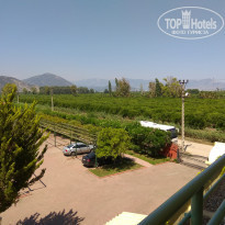 фото из отзыва ID 1982812