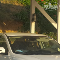 фото из отзыва ID 1982821