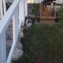 фото из отзыва ID 1982821