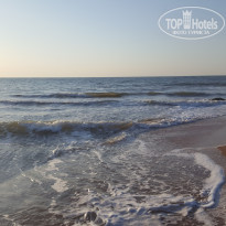 фото из отзыва ID 1982821