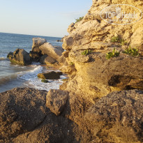 фото из отзыва ID 1982821