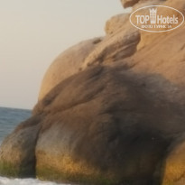 фото из отзыва ID 1982821