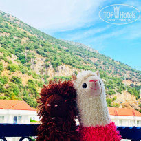 фото из отзыва ID 1982964