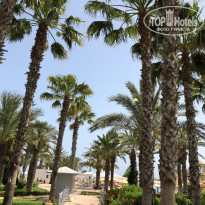 фото из отзыва ID 1983043