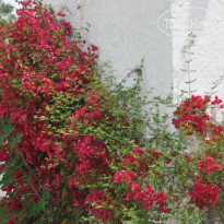 фото из отзыва ID 1983163