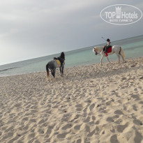 фото из отзыва ID 1983217