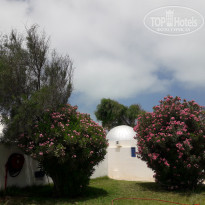 фото из отзыва ID 1983217