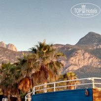 фото из отзыва ID 1983168