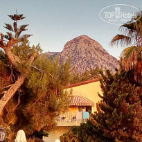 фото из отзыва ID 1983168