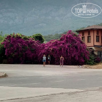 фото из отзыва ID 1983168