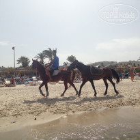 фото из отзыва ID 1983234