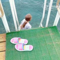 фото из отзыва ID 1983168