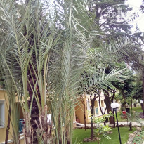 фото из отзыва ID 1983168