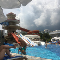 фото из отзыва ID 1983392