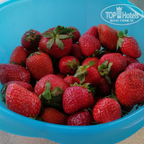 фото из отзыва ID 1981870